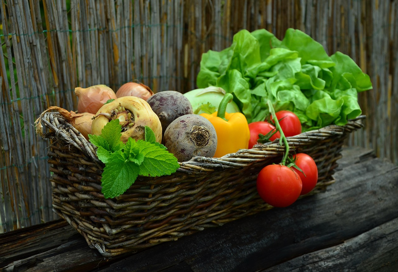 vegetables, basket, vegetable basket, harvest, nature, produce, organic, fresh, fresh produce, fresh vegetables, assorted, food, garden, salad, healthy