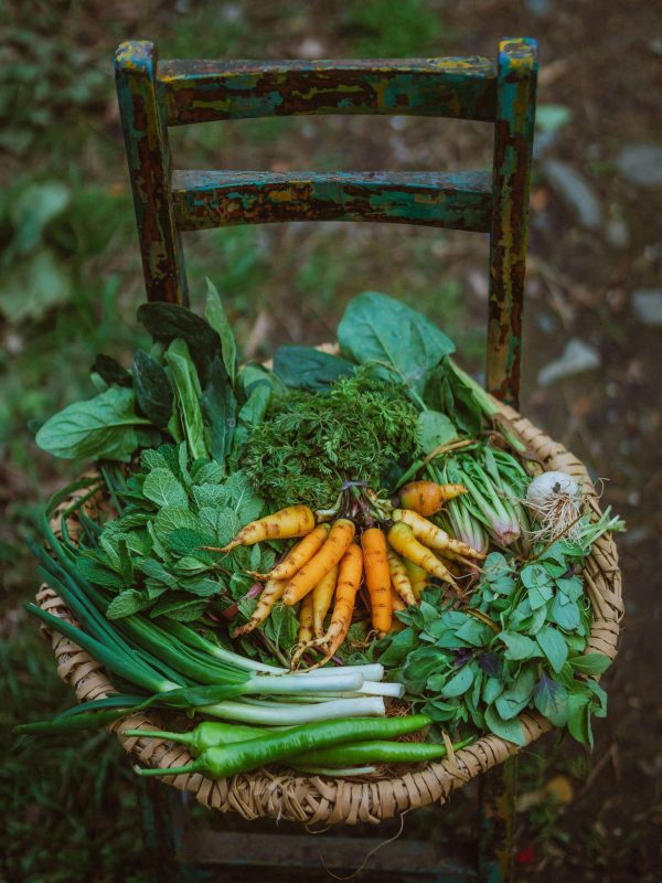 A vibrant assortment of fresh vegetables in a basket on a rustic wooden chair outdoors.